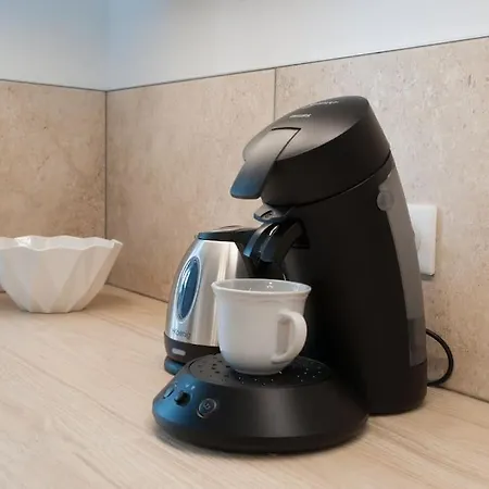 Apartamento Le Cachat - Hyper Centre - Wifi Gratuit Évian-les-Bains