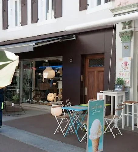 Le Cachat - Hyper Centre - Wifi Gratuit * Évian-les-Bains