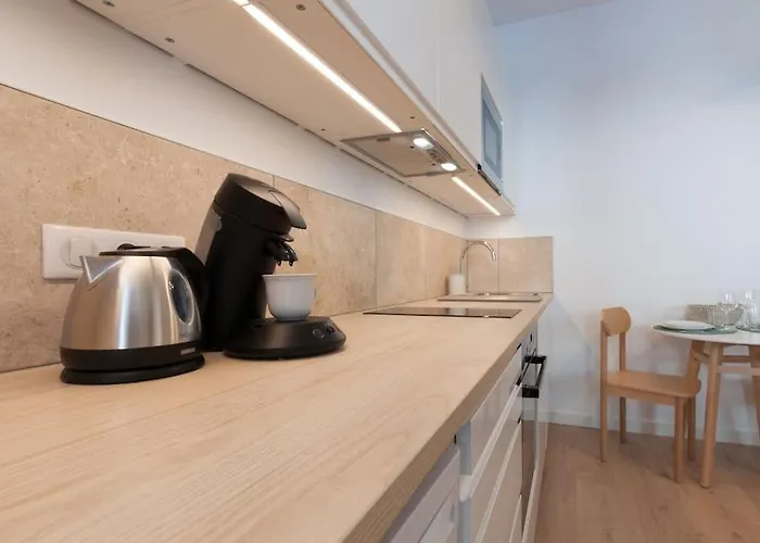 Apartment Le Cachat - Hyper Centre - Wifi Gratuit